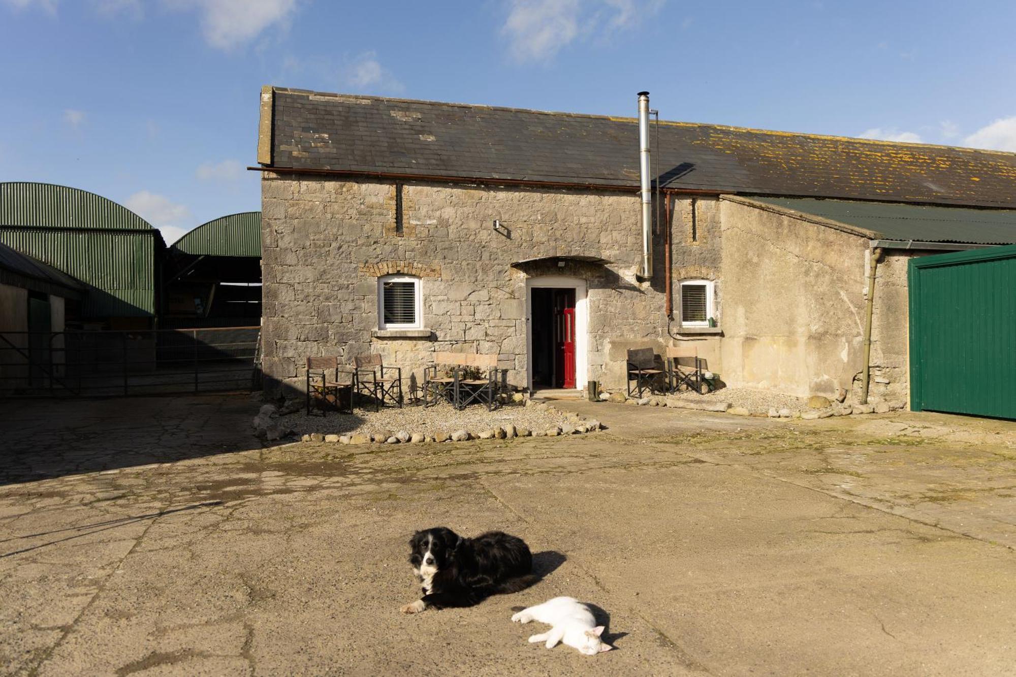 Fitz Of Inch Hotel Stradbally  Exterior foto